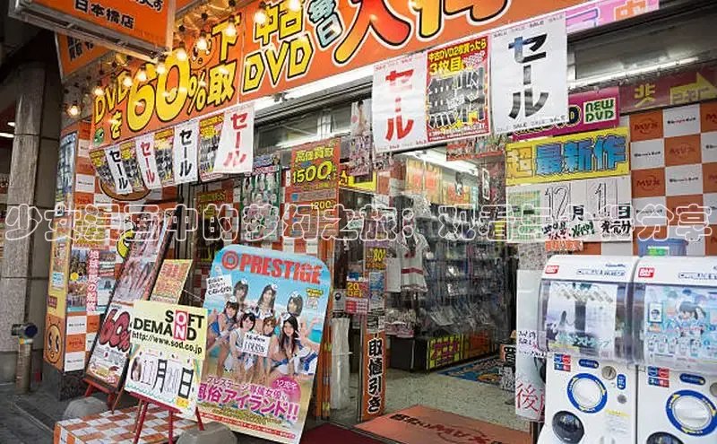 漫蛙manwa2官方网页入口在线阅读